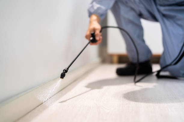 Bed Bug Pre-Treatment Preparation Assessment in Tomah