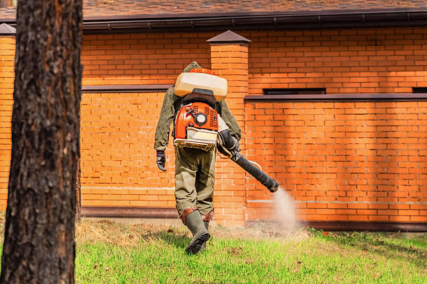 Bed Bug Clearance Verification and Documentation in Tomah